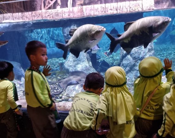 Outing Class KB-TK Al Fityan School Tangerang “Menjelajahi Keanekaragaman Kehidupan Laut”