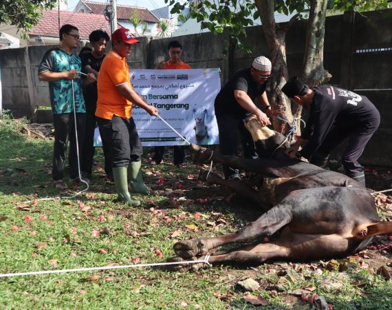 PEMOTONGANG HEWAN QURBAN IDUL ADHA 1447 H